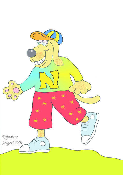 Tornacipos kutyus
